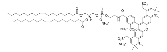 18:1 PE-TopFluor&#8482; AF594 Avanti Research&#8482; - A Croda Brand (810387C), chloroform solution