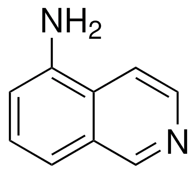 5-Aminoisochinolin 99%