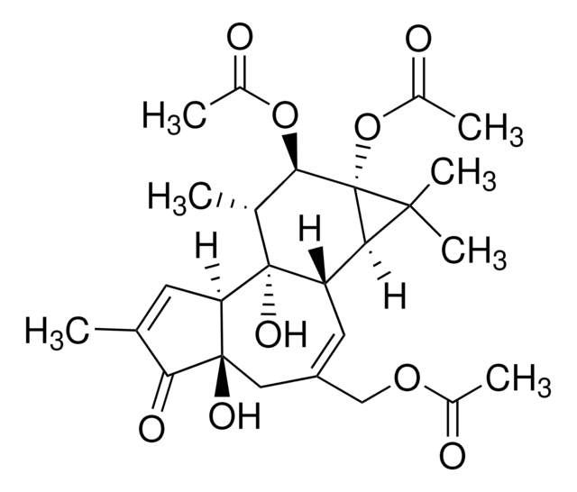 Phorbol 12,13,20-triacetate powder