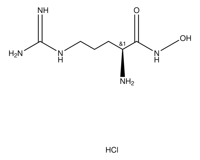 L-Arginine hydroxamate hydrochloride