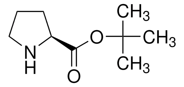 L-Proline t-butyl ester