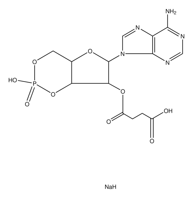 2&#8242;-O-Monosuccinyladenosine 3&#8242;:5&#8242;-cyclic monophosphate sodium salt ~98%