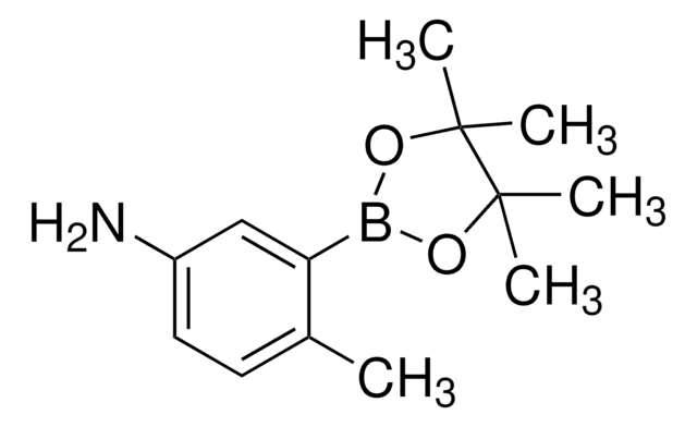 5-Amino-2-methylphenylboronic acid pinacol ester 97%