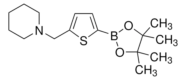 5-(Piperidinomethyl)-2-thiopheneboronic acid pinacol ester 97%