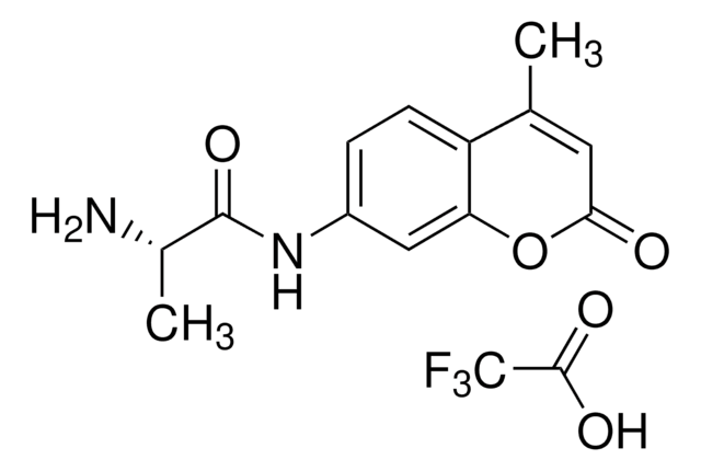 L-Alanin-7-Amido-4-Methylcumarin -trifluoracetat (Salz) aminopeptidase substrate