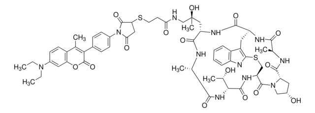 Phalloidin, Coumarin Labeled for actin detection