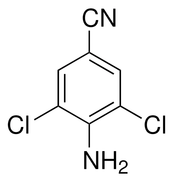 4-Amino-3,5-dichlorobenzonitrile 97%