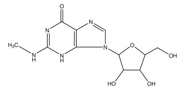 N2-Methylguanosine ~95%