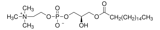 1-Heptadecanoyl-sn-glycero-3-phosphocholine ~99%