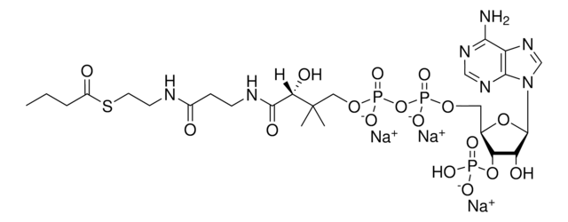 04:0 Coenzyme A Avanti Research&#8482; - A Croda Brand