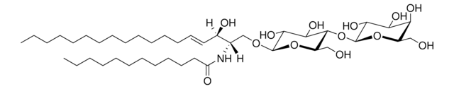 C12 Lactosyl(&#946;) Ceramide (d18:1/12:0) Avanti Research&#8482; - A Croda Brand 860545P, powder