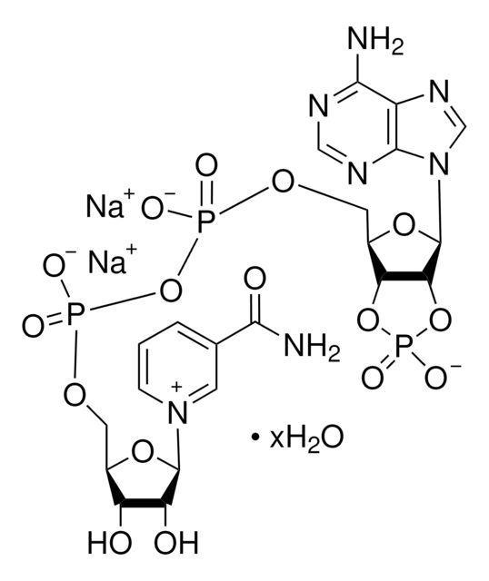 &#946;-Nicotinamide adenine dinucleotide 2&#8242;:3&#8242;-cyclic monophosphate disodium salt hydrate &#8805;95%