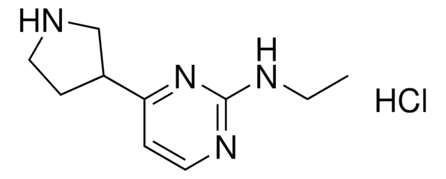 N-Ethyl-4-(pyrrolidin-3-yl)pyrimidin-2-amine hydrochloride AldrichCPR