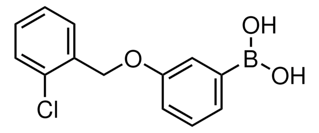 3-(2-Chlorobenzyloxy)phenylboronic acid