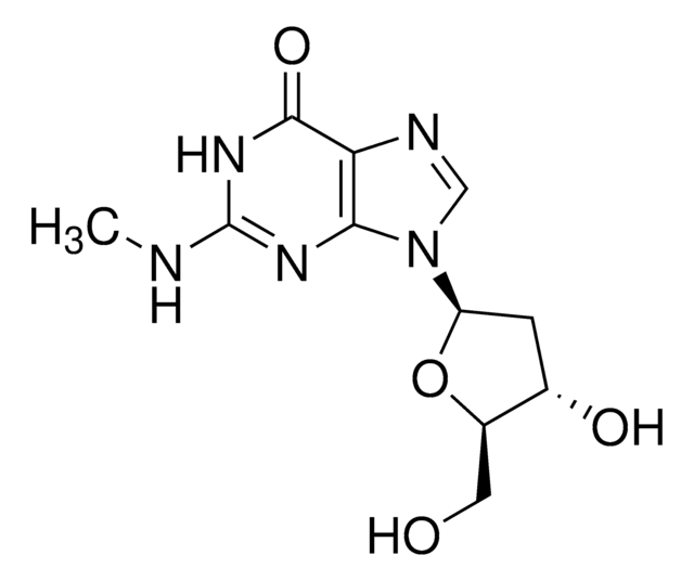 N2-Methyl-2&#8242;-deoxyguanosine