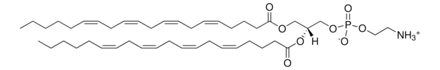 20:4 PE 1,2-diarachidonoyl-sn-glycero-3-phosphoethanolamine, chloroform