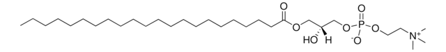 22:0 Lyso PC 1-behenoyl-2-hydroxy-sn-glycero-3-phosphocholine, chloroform