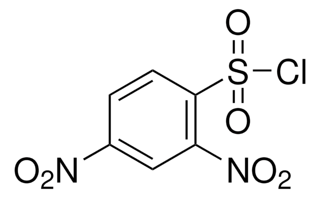 2,4-Dinitrobenzenesulfonyl chloride 97%