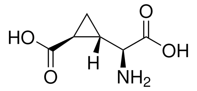 (2S,1&#8242;S,2&#8242;S)-2-(Carboxycyclopropyl)glycine solid