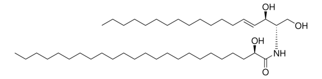 24:0(2R-OH) Ceramide Avanti Research&#8482; - A Croda Brand 860823P, powder