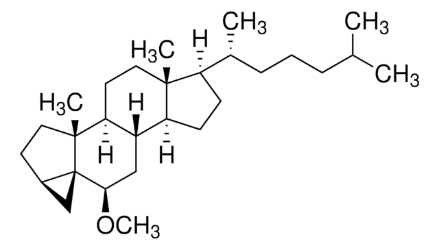 i-Cholesteryl methyl ether ~95%