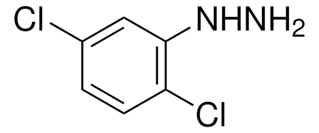 2,5-Dichlorphenylhydrazin 98%