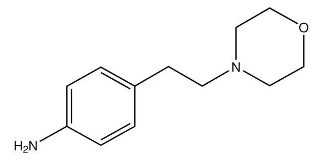 4-(2-Morpholin-4-yl-ethyl)-phenylamine