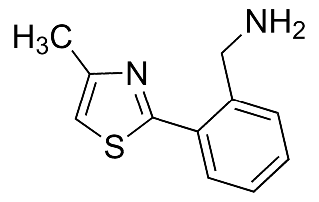 [2-(4-Methyl-1,3-thiazol-2-yl)phenyl]methanamine AldrichCPR