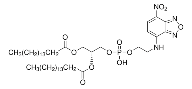 1,2-Dipalmitoyl-sn-glycero-3-phosphoethanolamine, 7-nitrobenzofurazan-labeled for fluorescence, ammonium salt, &#8805;98.0% (TLC)