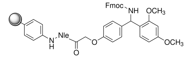 Rink amide (aminomethyl)polystyrene with Norleucine internal standard extent of labeling: ~1.1&#160;mmol/g loading