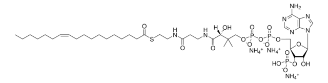 18:1(n7) Coenzyme A Avanti Research&#8482; - A Croda Brand 870730P, powder