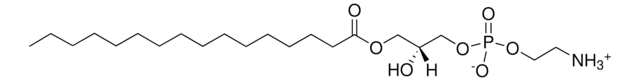 16:0リゾPE Avanti Research&#8482; - A Croda Brand, powder