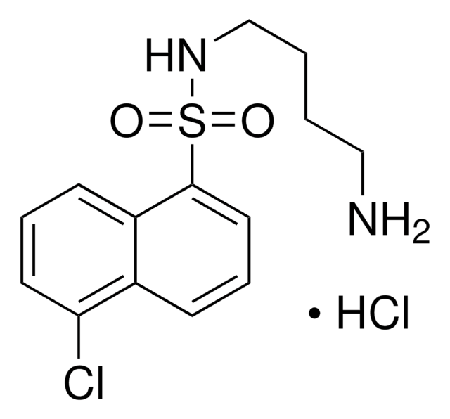 N-(4-Aminobutyl)-5-chloro-1-naphthalenesulfonamide hydrochloride