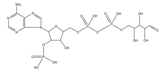 2&#8242;-Monophosphoadenosine 5&#8242;-diphosphoribose sodium salt &#8805;90% (HPLC)