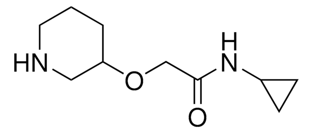 N-Cyclopropyl-2-(3-piperidinyloxy)acetamide AldrichCPR