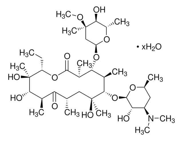 (-)-红霉素 水合物 96%