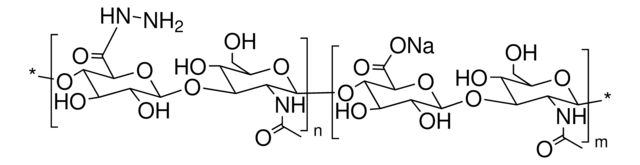 Hyaluronic acid hydrazide