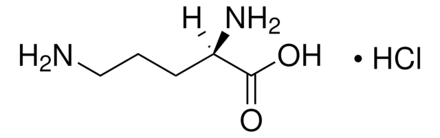 D-Ornithine monohydrochloride 98%