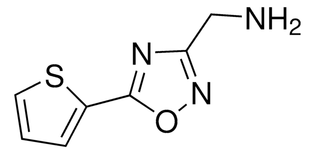 1-[5-(2-Thienyl)-1,2,4-oxadiazol-3-yl]methanamine