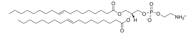 18:1 (&#916;9-Trans) PE 1,2-dielaidoyl-sn-glycero-3-phosphoethanolamine, chloroform