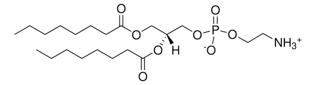 08:0 PE 1,2-dioctanoyl-sn-glycero-3-phosphoethanolamine, powder