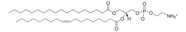 Brain PE Avanti Research&#8482; - A Croda Brand 840022C