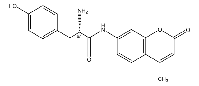 L-酪氨酸7-氨基-4-甲基香豆素