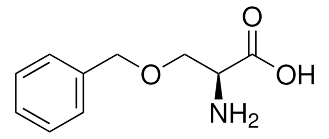 O-Benzyl-L-serine