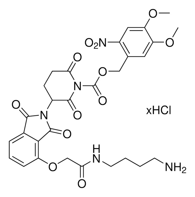 Opto-thalidomide-O-acetamide-C4-NH2 hydrochloride