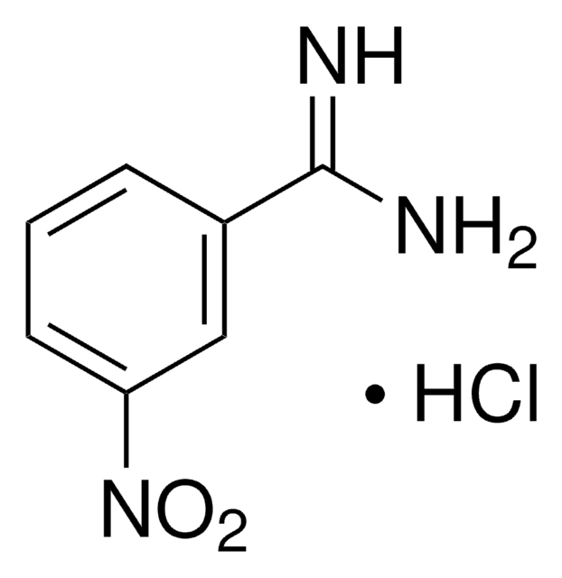 3-Nitrobenzamidin -hydrochlorid 95%