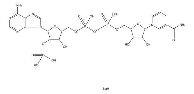 &#946;-Nicotinamide adenine dinucleotide 3&#8242;-phosphate reduced form sodium salt &#8805;90%