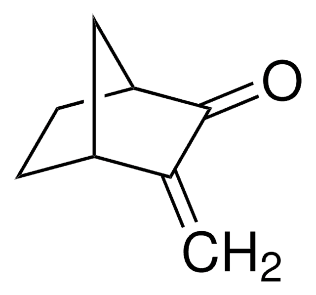 3-Methylene-2-norbornanone 97%