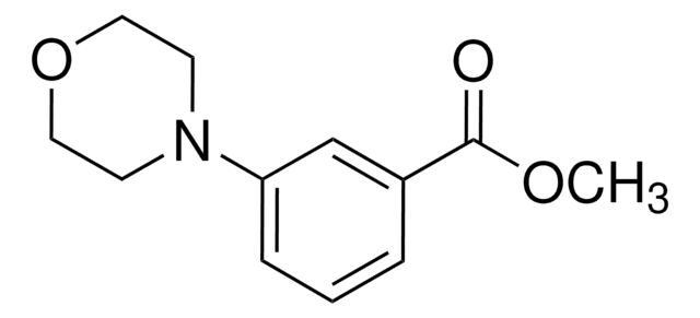 Methyl 3-morpholinobenzoate 97%