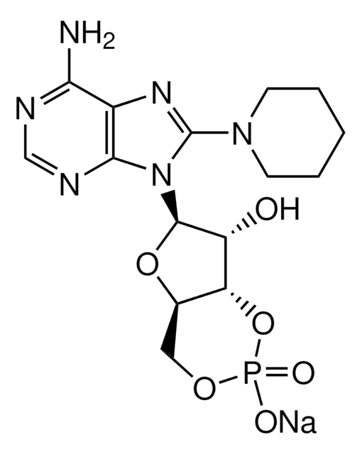 8-PIP-cAMP &#8805;98% (HPLC), solid